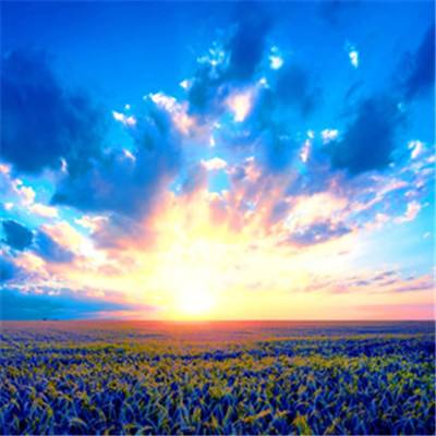 hth·华体育官方入口